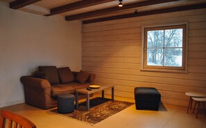 Flat-screen TV, fireplace