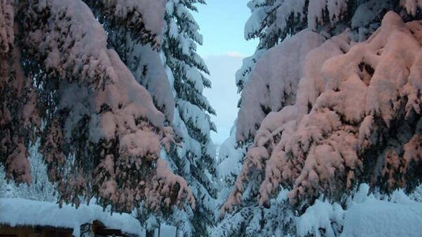 A snow-covered village with wooden buildings and snow-laden trees. - Campodolcino Camping (Campodolcino)