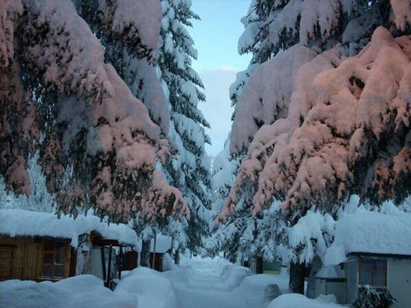 Enceinte de l’hébergement