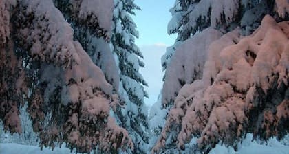 Campodolcino Camping