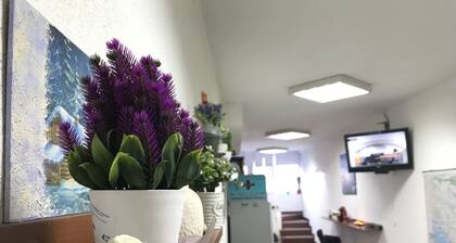 Kingdom Rooms Visoko