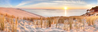Chambre d'hôtes Ô Bois Plage