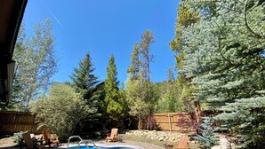 Un giardino con piscina, un pontile in legno e alberi circostanti.