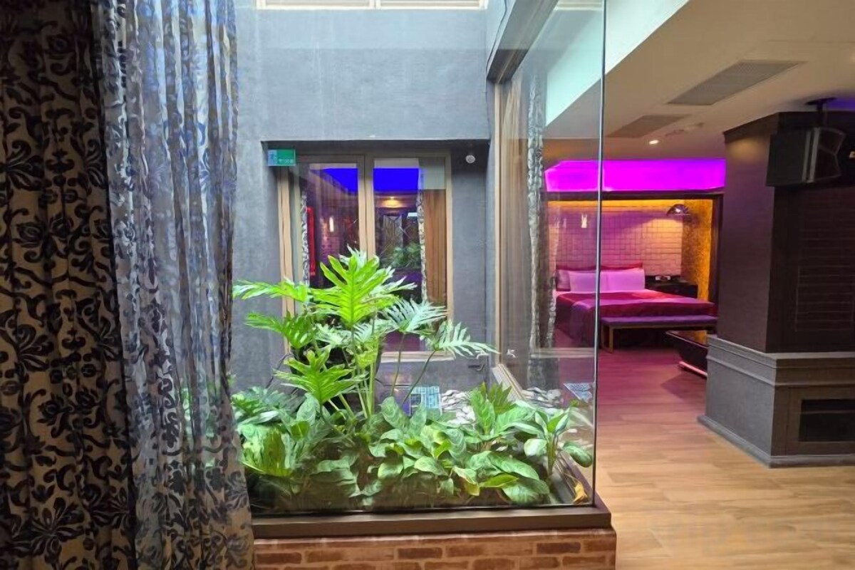 En hotellobby med en glasvägg, en krukväxt och en säng som syns genom glaset.