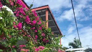 A building with a sign for the Ambergris Sunset Hotel, surrounded by lush pink bougainvillea. - Ambergris Sunset Hotel (San Pedro)