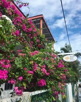 Een gebouw met een bord voor Hotel Ambergris Sunset, omgeven door weelderige roze bougainvillea.