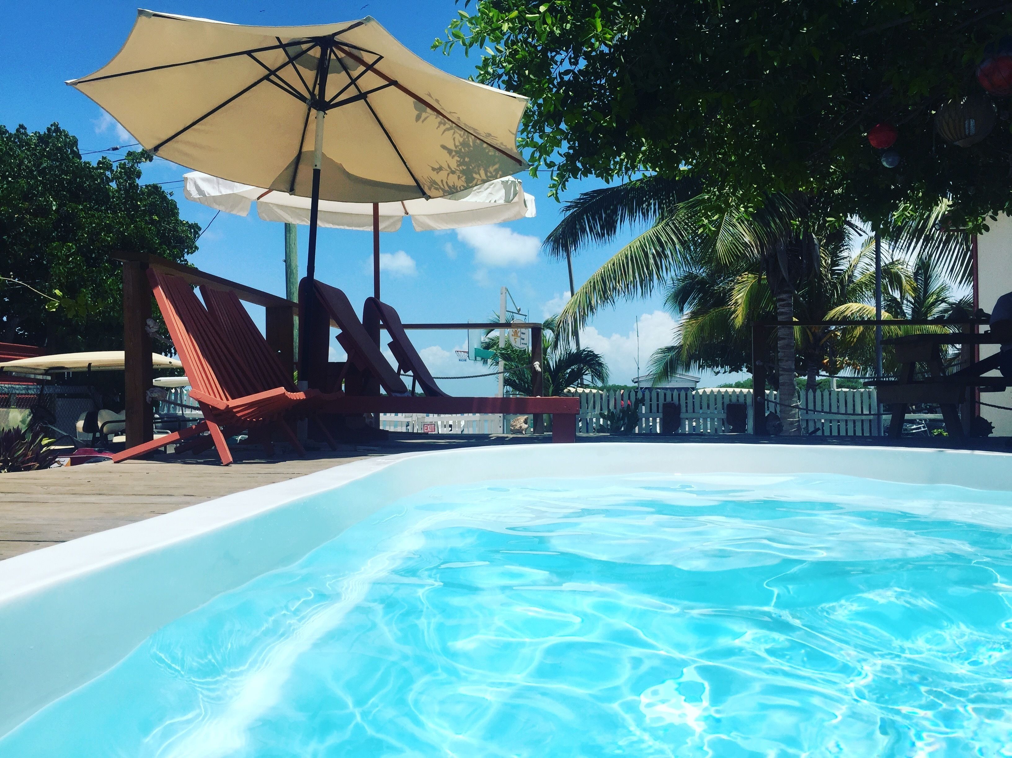 outdoor pool, open 9:00 am to 9:00 pm, pool umbrellas, pool loungers