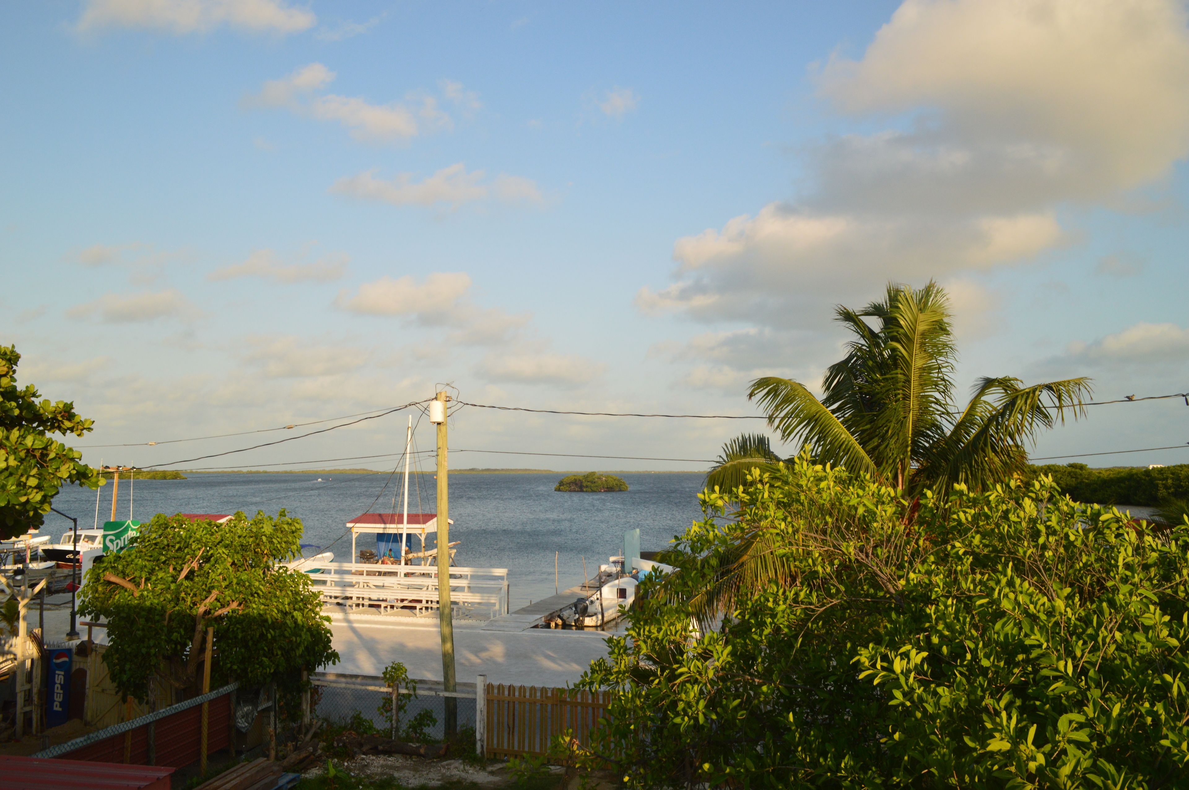 Un puerto deportivo con barcos amarrados, una pequeña isla al fondo y abundante vegetación en primer plano.