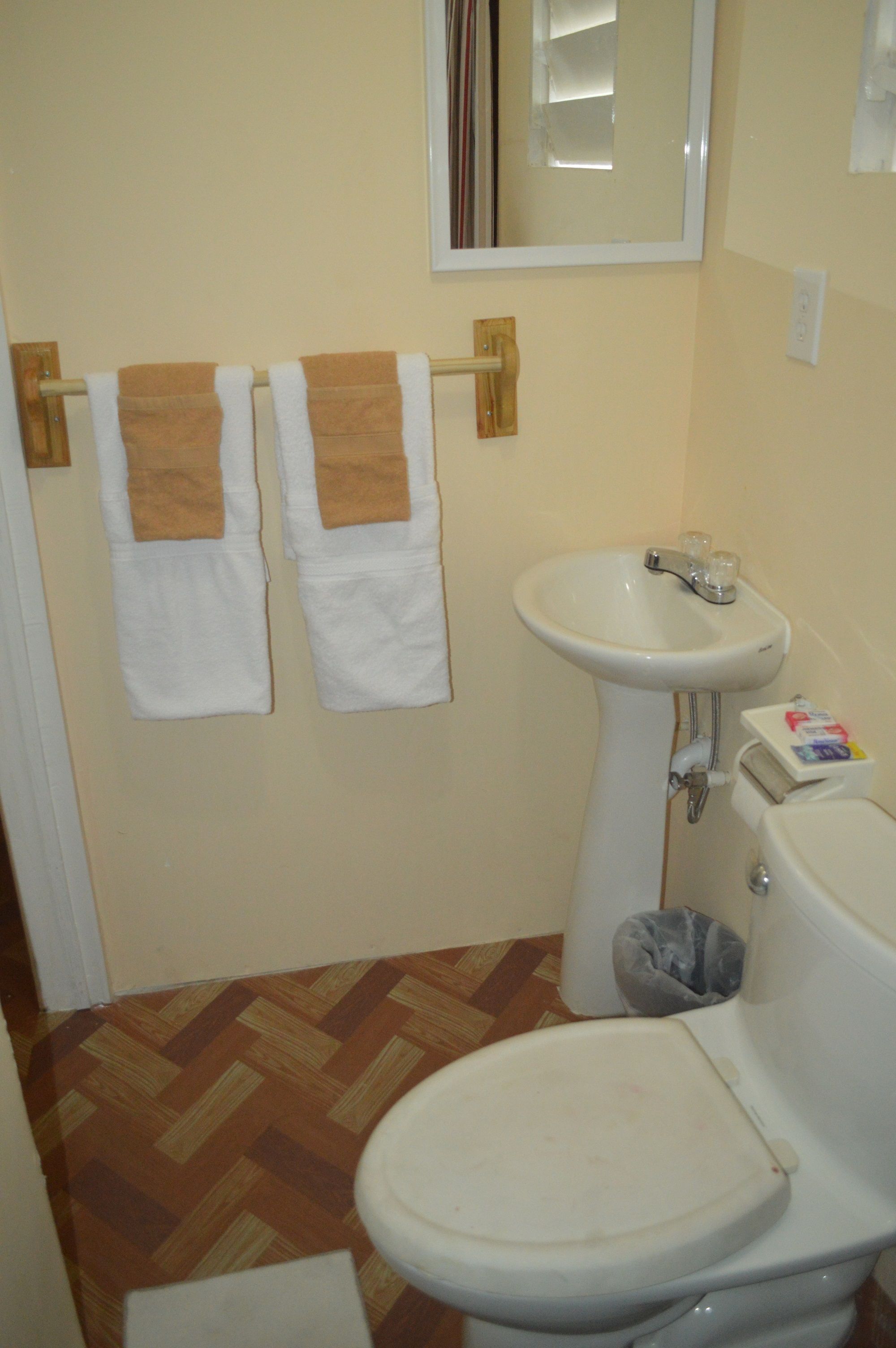 economy double room, 1 double bed, non smoking | bathroom | shower, free toiletries, towels