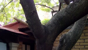 Terrace/patio - Casa Boutique Las Piedras (Cuernavaca)