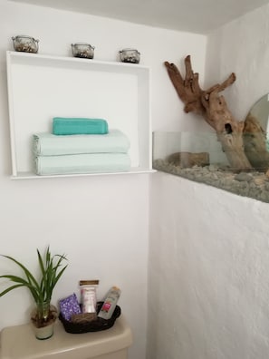 Desk, iron/ironing board, free WiFi, bed sheets - Casa Boutique Las Piedras (Cuernavaca)