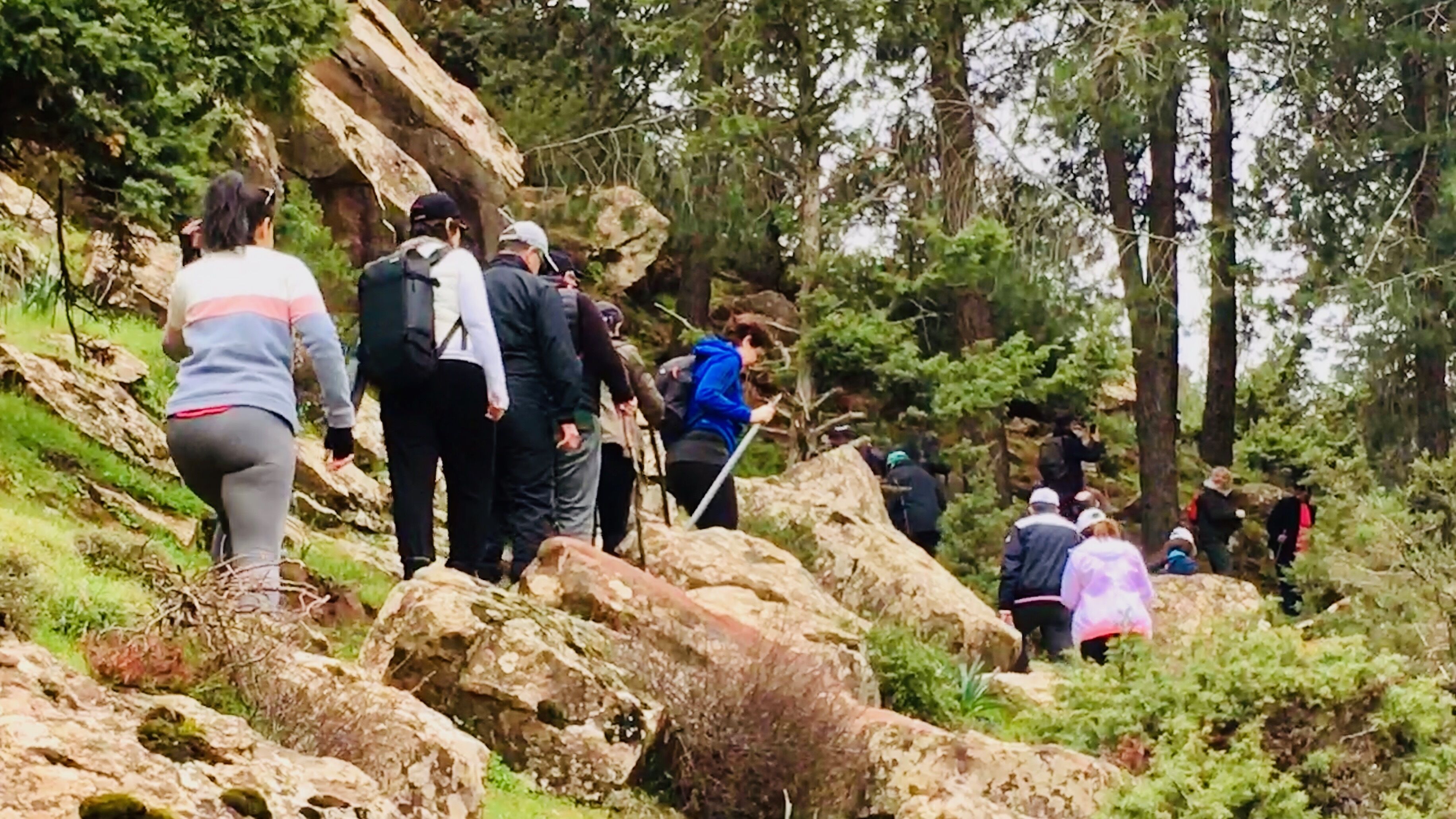 Un gruppo di persone che fa escursione su un sentiero roccioso, circondato da alberi.