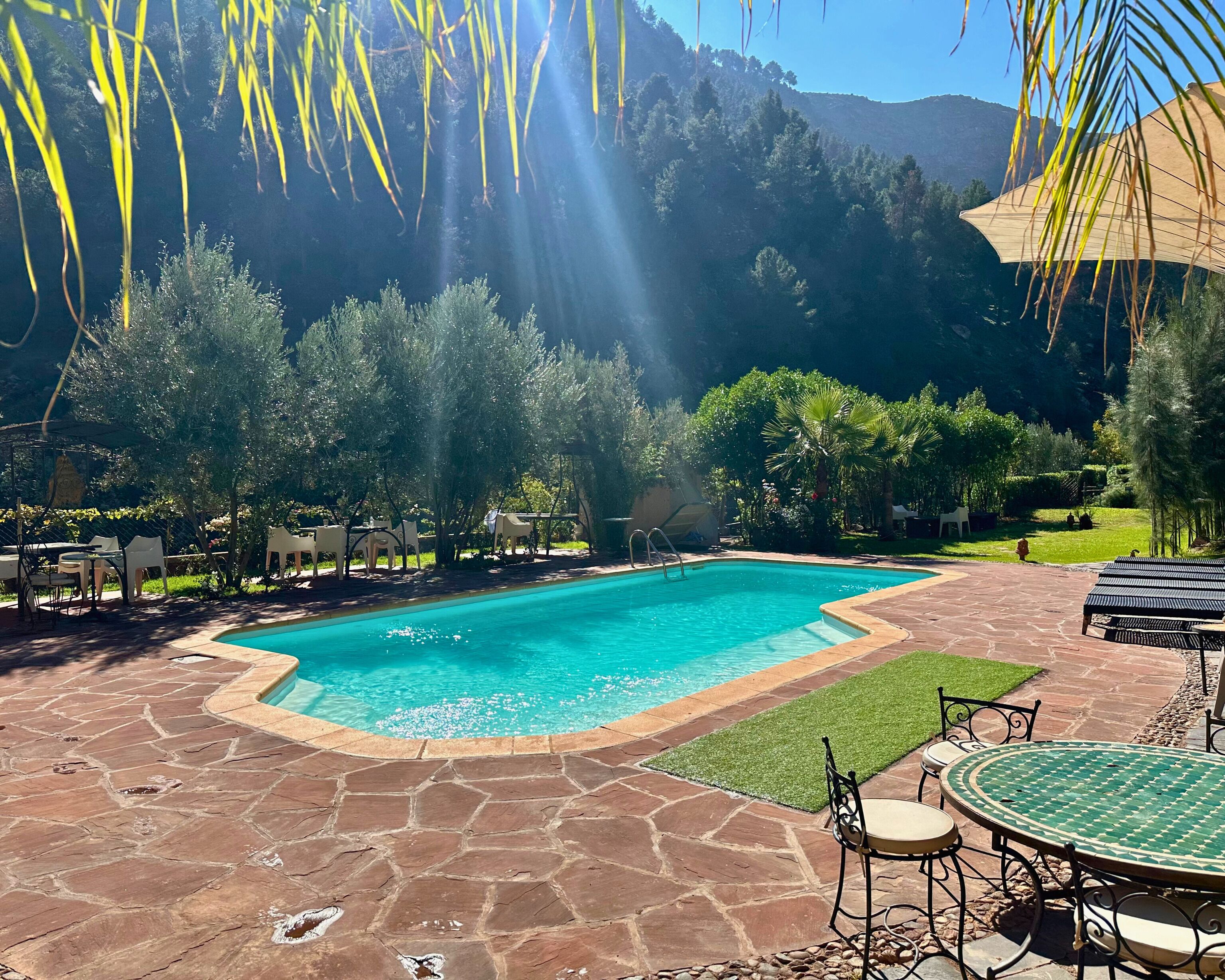 A swimming pool with a stone patio, surrounded by greenery and trees.