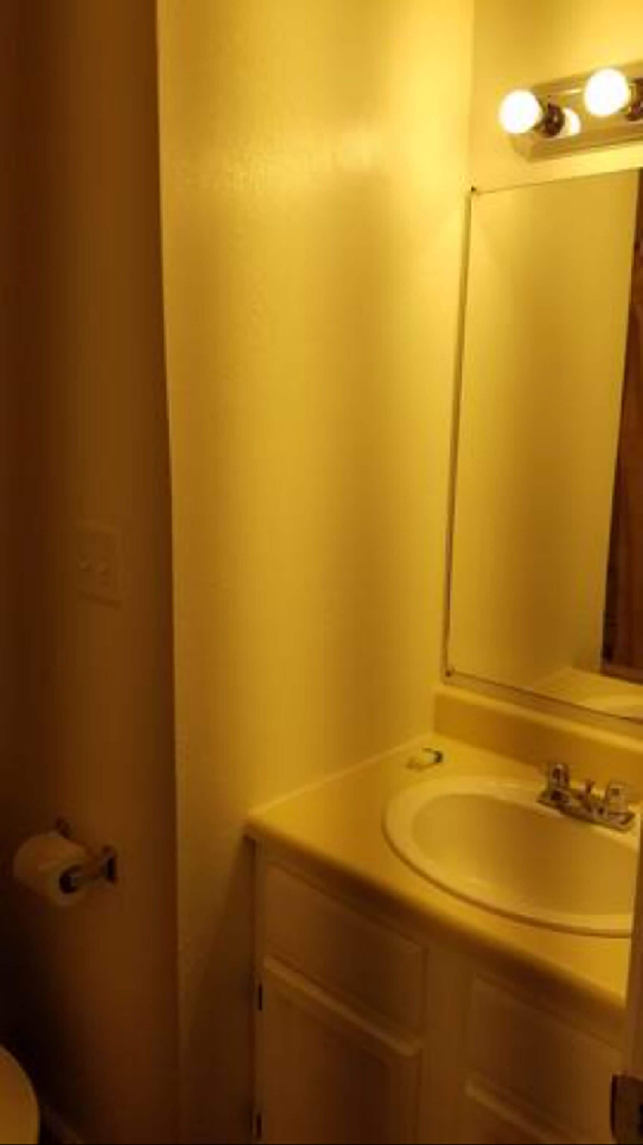 A bathroom with a sink, mirror, and toilet.