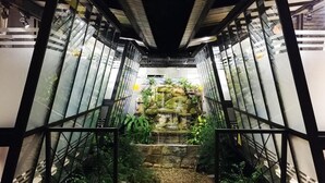Interior - Green House Neo-Resotel - Hostel (Nakhon Si Thammarat)