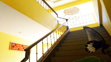 A staircase with a handrail, a chandelier at the top, and a plant at the bottom.