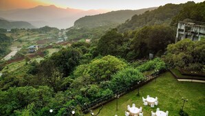 Un paisaje exuberante y verde con una serie de mesas y sillas blancas dispuestas en forma semicircular, lo que sugiere un espacio para comer o un evento.