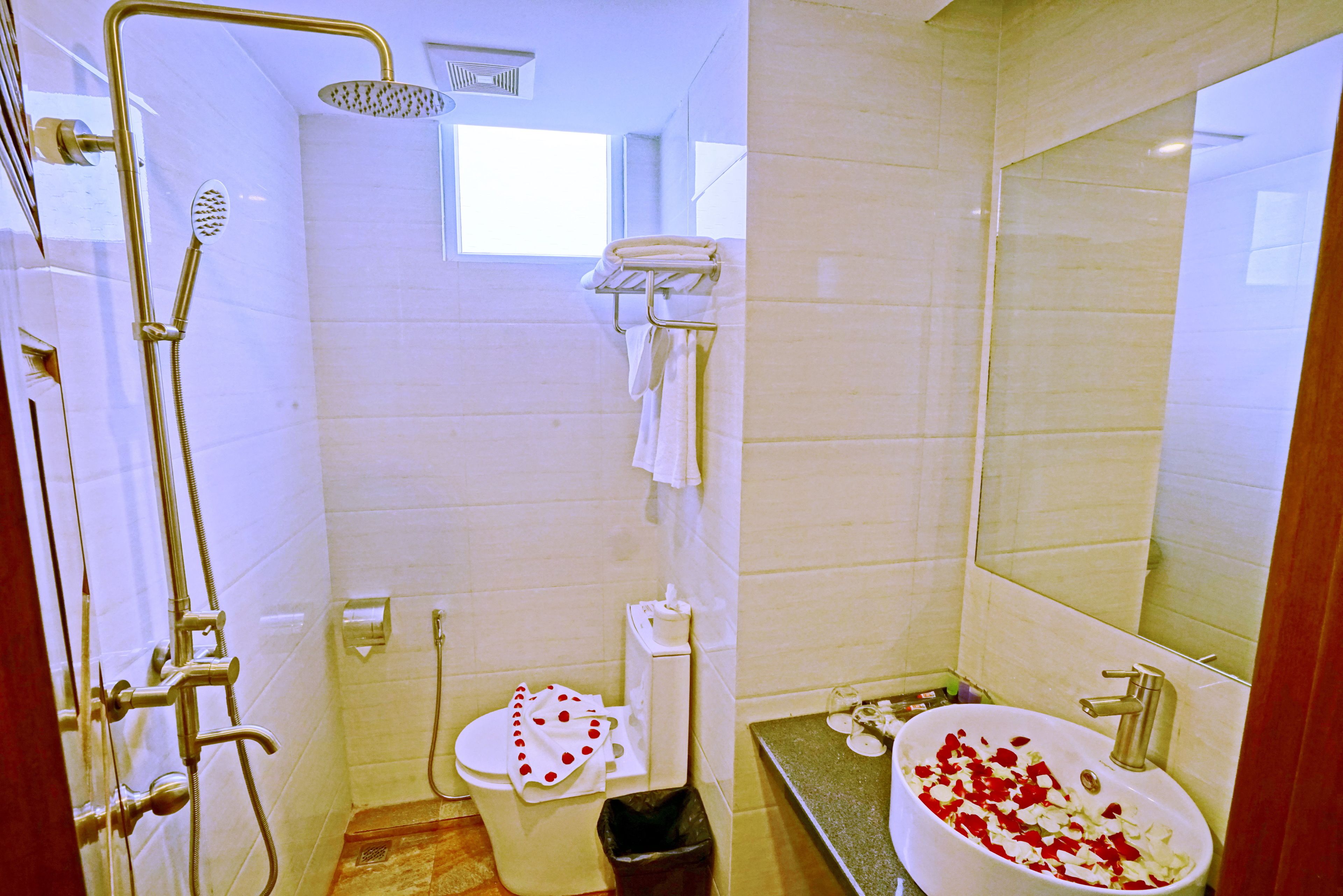 Un baño con ducha, inodoro, lavabo y espejo.