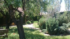 Un giardino con un vialetto, alberi e una panchina.