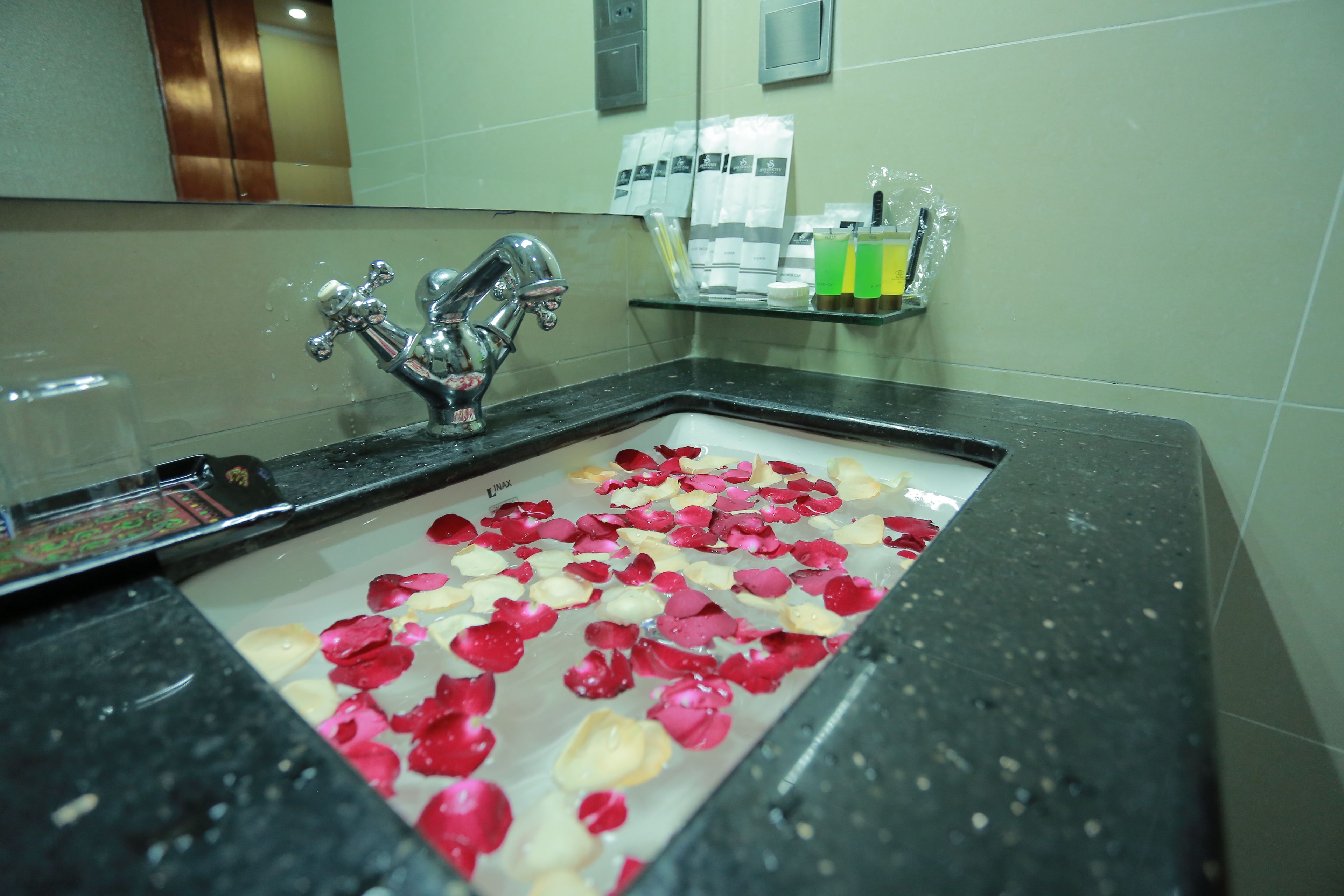 deluxe room | bathroom sink