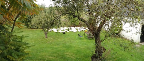 Vue sur le jardin