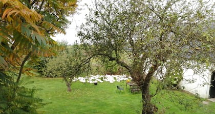 Møn Økologisk B&B