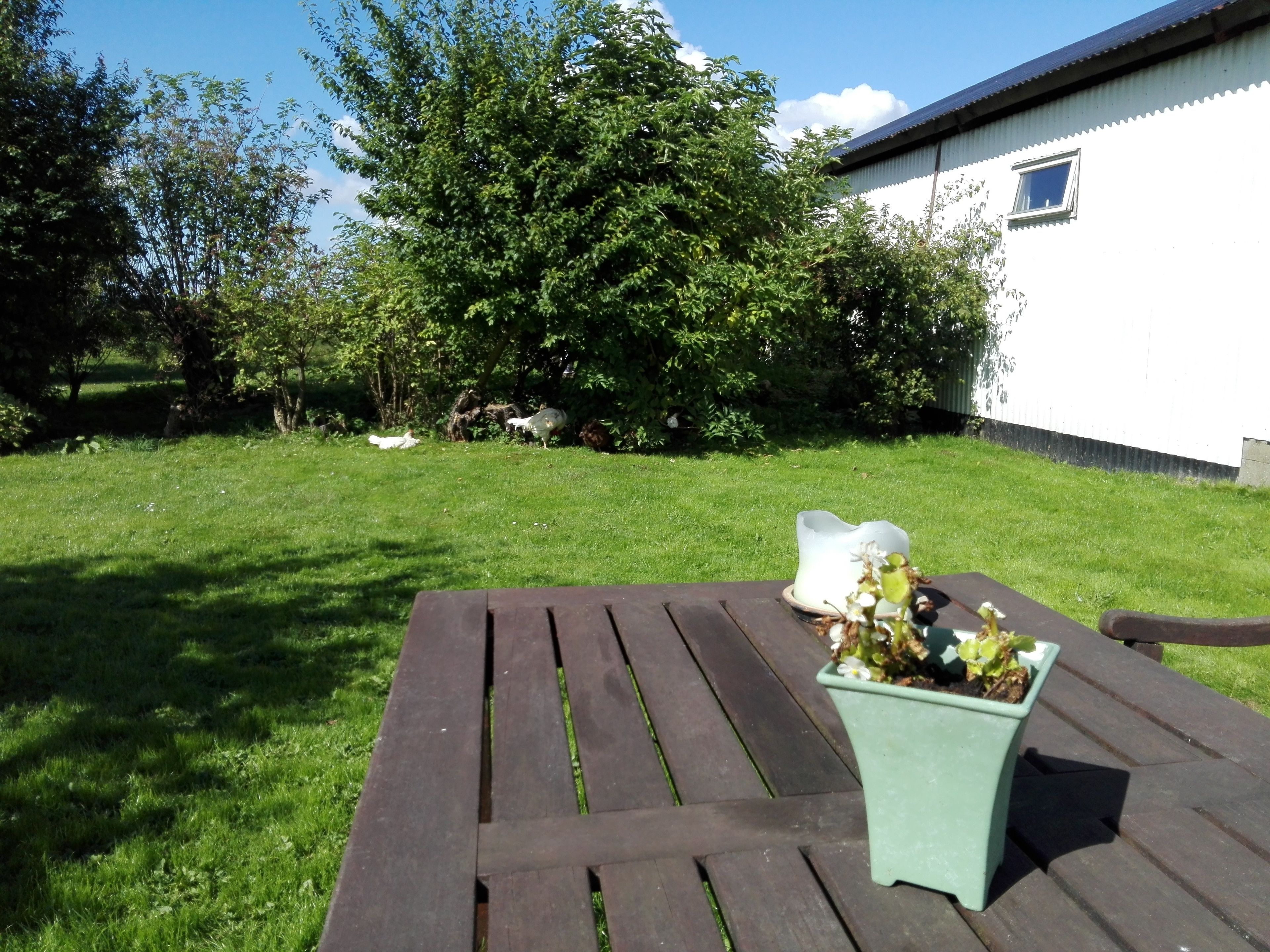 Restauration extérieure