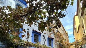 Una estrecha calle empedrada flanqueada por edificios tradicionales, algunos con puertas y ventanas azules, y una tienda que exhibe postales y baratijas.