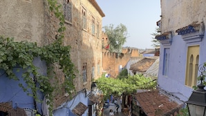 Un callejón estrecho flanqueado por edificios, algunos con enredaderas y plantas.