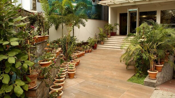 Un patio con diversas plantas en macetas dispuestas a lo largo de las paredes y un camino de baldosas que conduce a la entrada de un edificio.