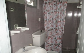 A bathroom with a toilet, sink, and shower curtain.