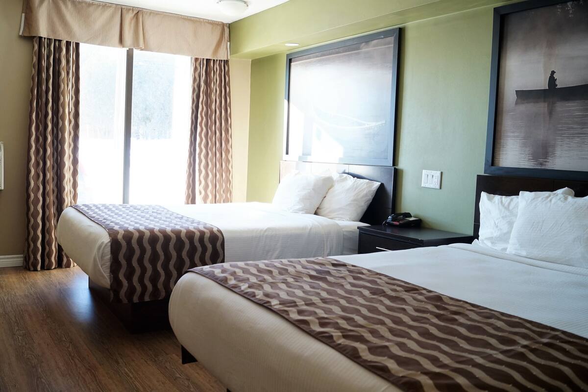 1 quarto, roupas de cama premium, edredons de pluma