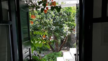 Double Room, 1 Double Bed | View from room