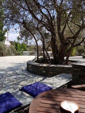 A stone-paved outdoor area with a large tree, stone walls, and blue cushioned seating. - Andromeda (Sifnos)