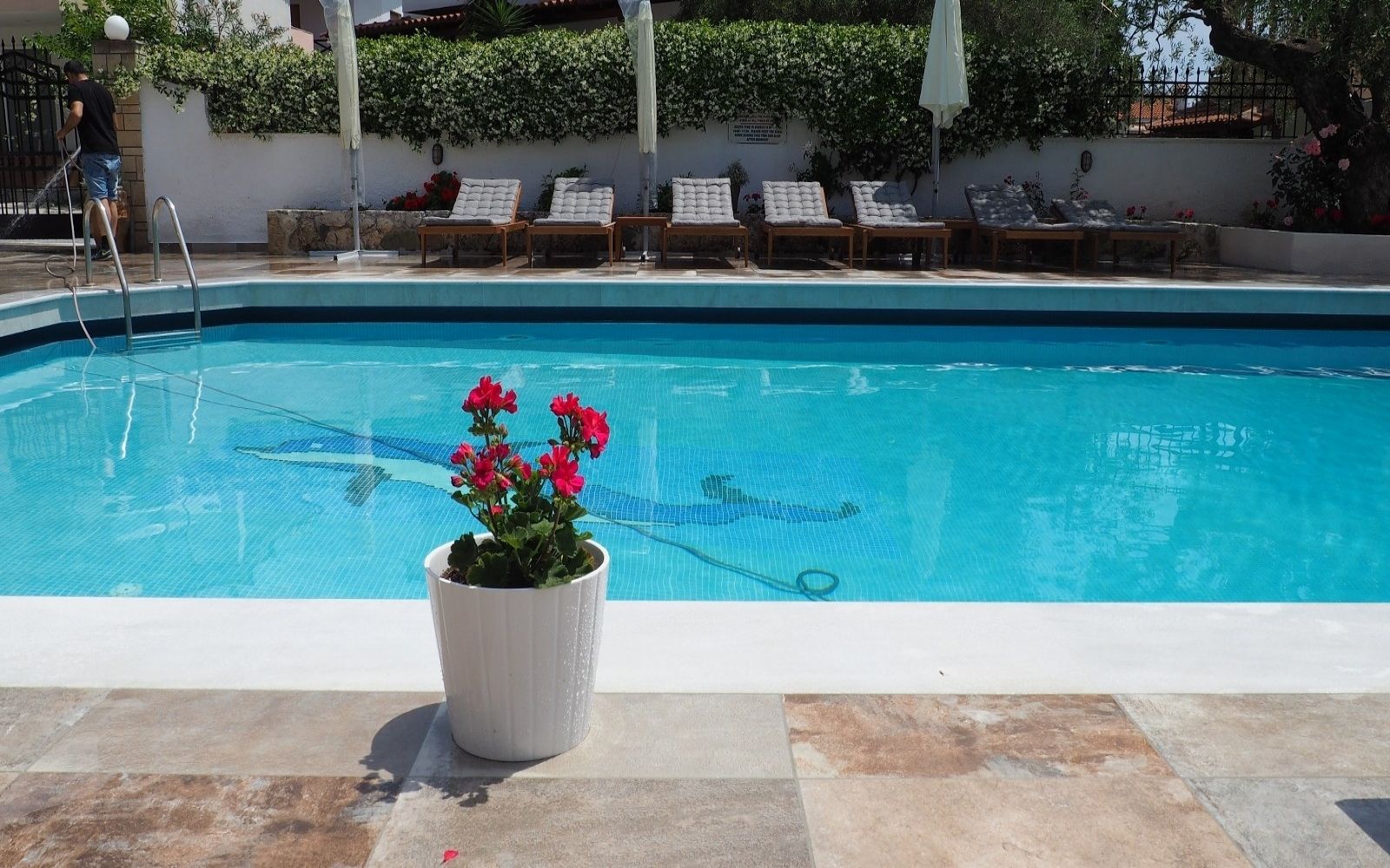 A swimming pool with lounge chairs and a potted plant.