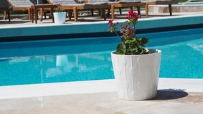 A poolside area with a white planter holding flowers, lounge chairs, and a clear blue pool.