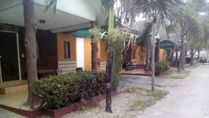 Un edificio con un vestíbulo techado, un pequeño jardín con arbustos y una palmera, y un sendero pavimentado.