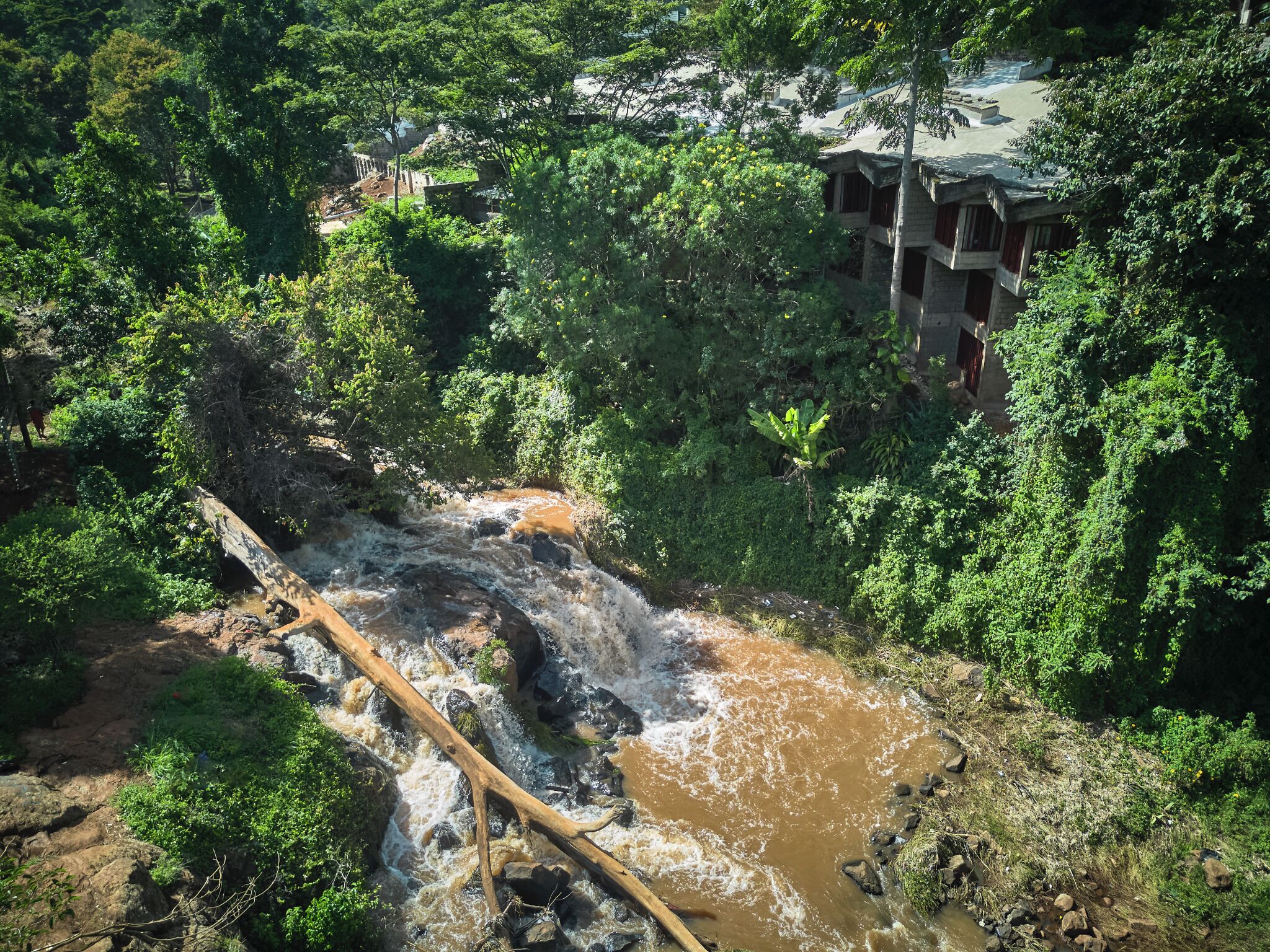 Un río serpentea por una zona boscosa, con un puente de madera y un edificio de varios niveles al fondo.