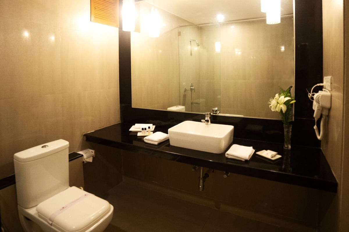 shower, free toiletries, hair dryer, towels