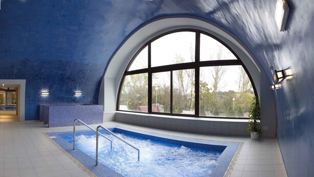 An indoor swimming pool with a view of trees through a large arched window.