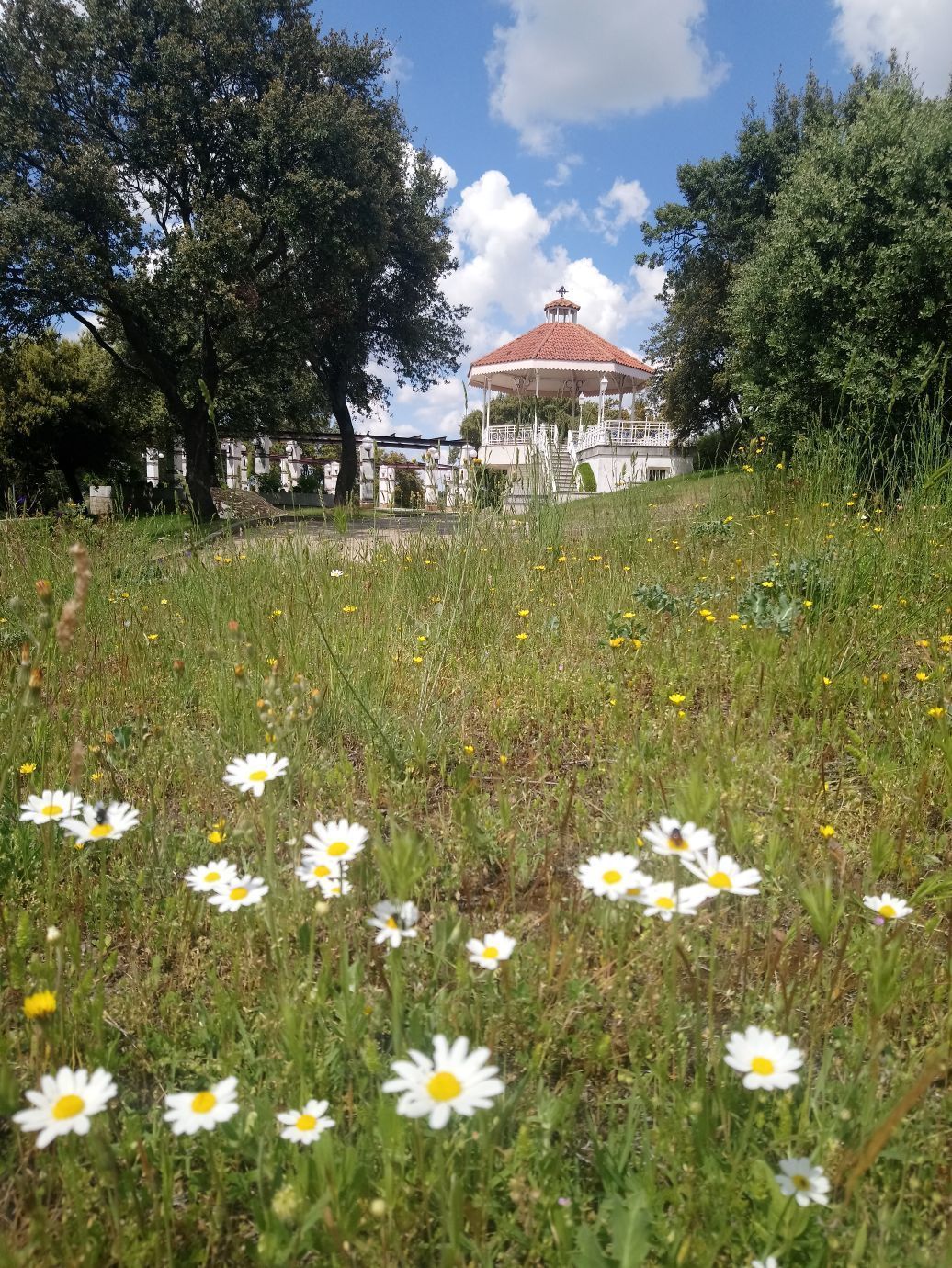 Foto - Balneario de Ledesma