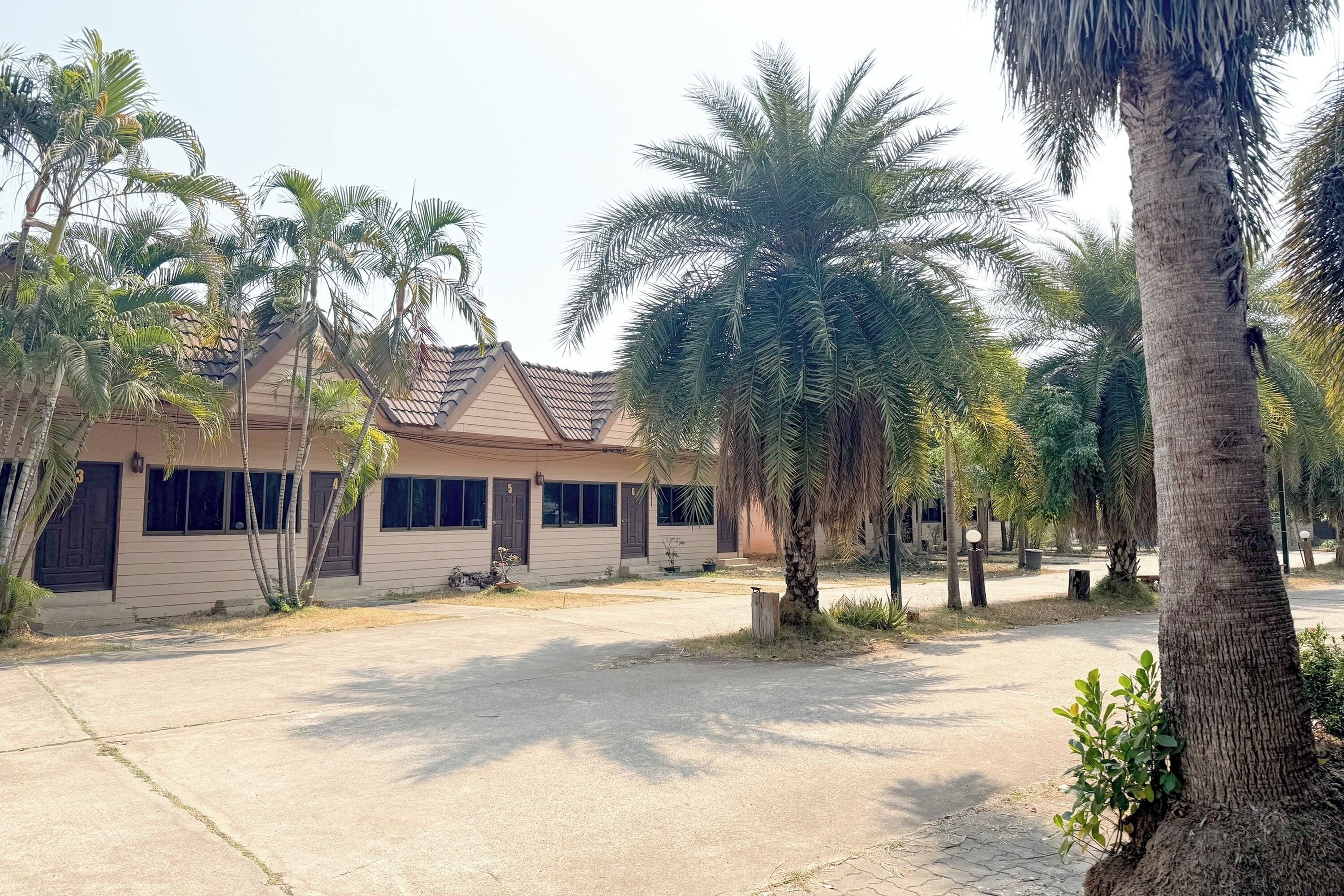 A building with a tiled roof and multiple windows, surrounded by palm trees and a paved area.