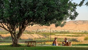 Área externa arborizada com uma mesa e cadeiras, um banco e vista para uma cidade ao longe.