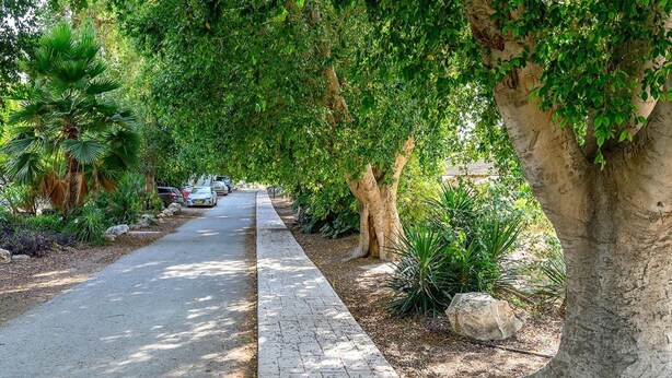 Uma trilha pavimentada ladeada por árvores e plantas, que conduz a carros estacionados.