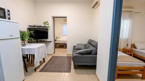 Um espaço compacto com cozinha compacta, sofá, cama e televisão.