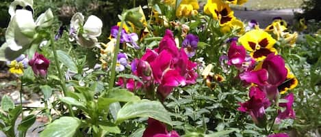 Garten