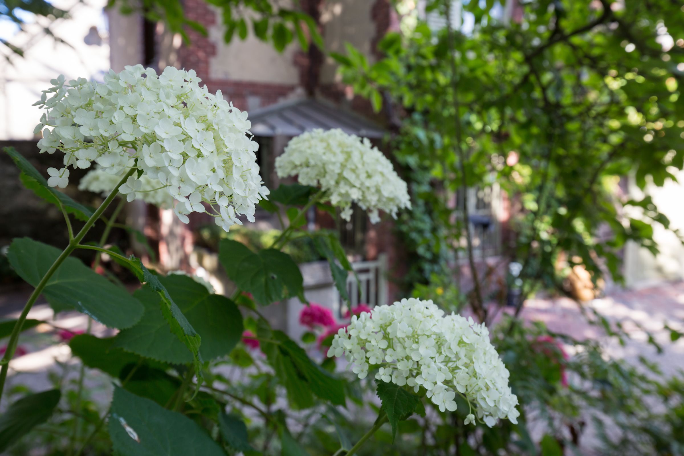 Foto - La Maison Du Parc