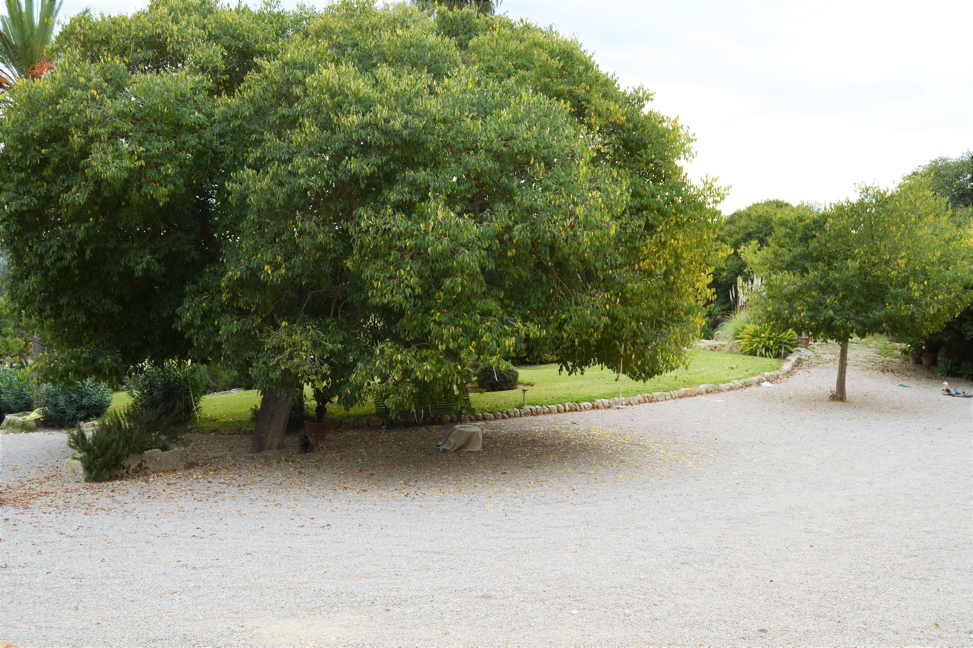 Photo - Agroturismo Son Sant Andreu