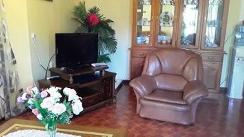 70-inch flat-screen TV with satellite channels, TV, DVD player