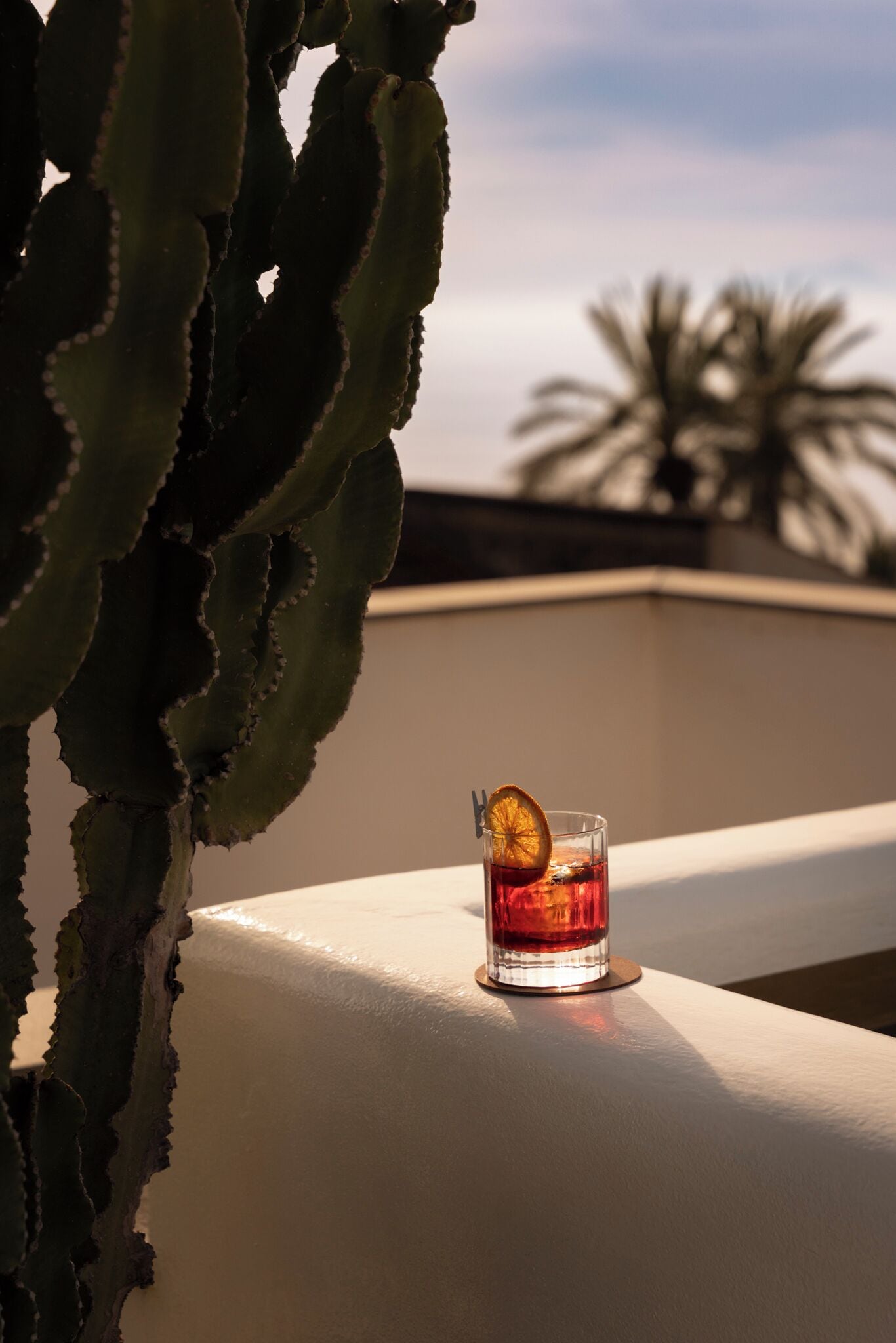 Ein Glas rotes Getränk mit einer Orangenscheibe auf weißer Oberfläche, im Hintergrund ein Kaktus und eine Palme.